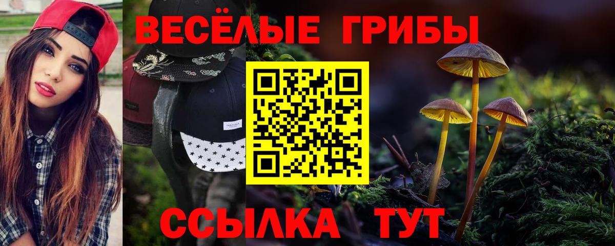 Галлюциногенные грибы GOLDEN TEACHER  Вход с VPN  Тобольск  где купить наркоту  Галлюциногенные грибы ЛСД 
